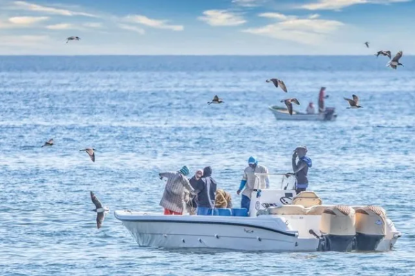 قطاع الصيد البحري: استراتيجية جديدة للمستقبل