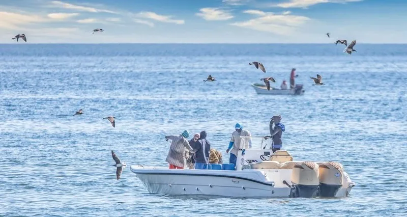 قطاع الصيد البحري: استراتيجية جديدة للمستقبل