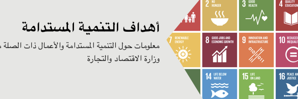 دعم المؤسسات الصغيرة والمتوسطة: فرص استثمارية في المغرب
