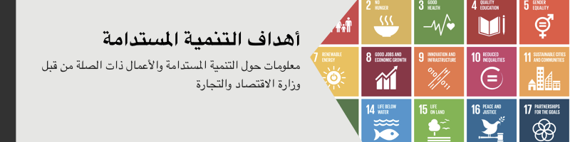 دعم المؤسسات الصغيرة والمتوسطة: فرص استثمارية في المغرب
