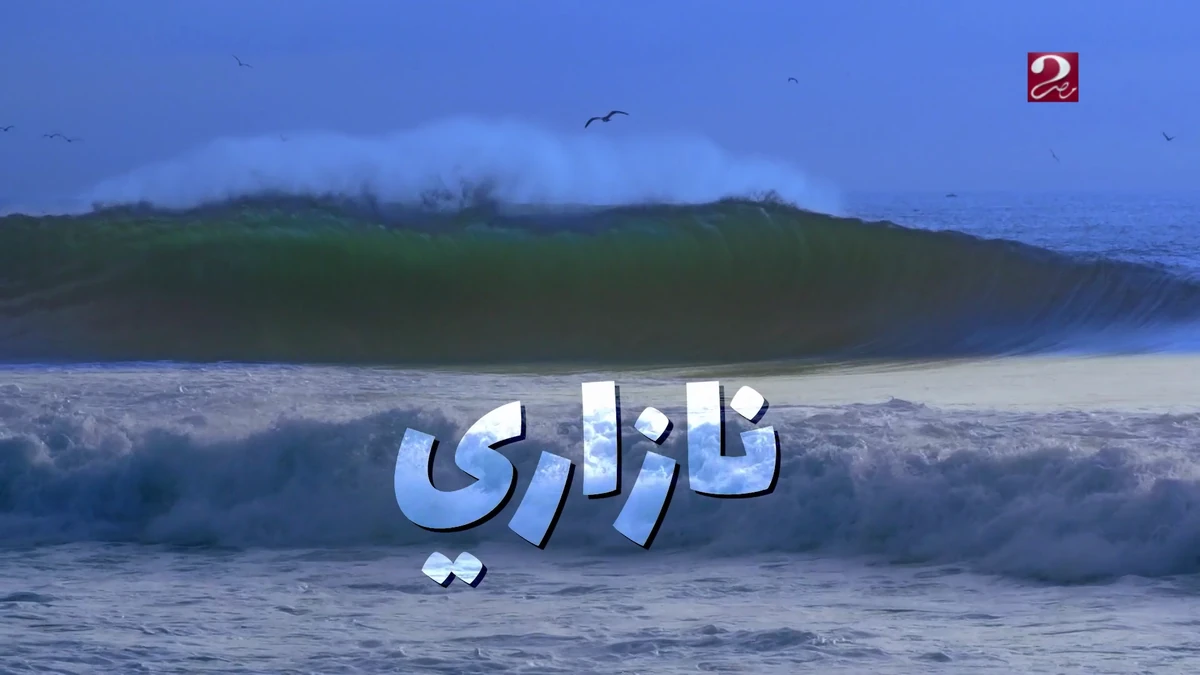 تحدي تودور نازاري يعود بمشاركة المغرب في ركوب الأمواج